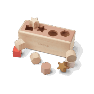 Midas puzzle box Geometric