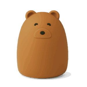 Winston Night Light Mr bear