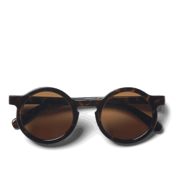 Darla Sunglasses 4-10 years Dark Tortoise Shiny - Image 2
