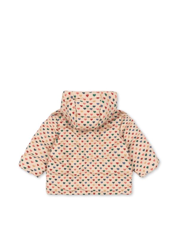 Ace Rain Jacket- Winter Jacket - Image 2