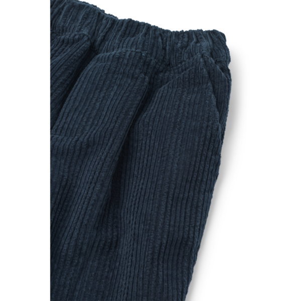 Borris Corduroy Pants - Image 3