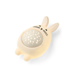 Manuel Rabbit Sound and Projector lamp
