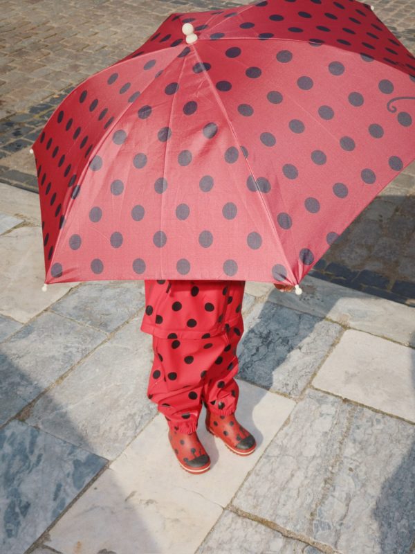 Lady Dot Umbrella Lady Dot - Image 4