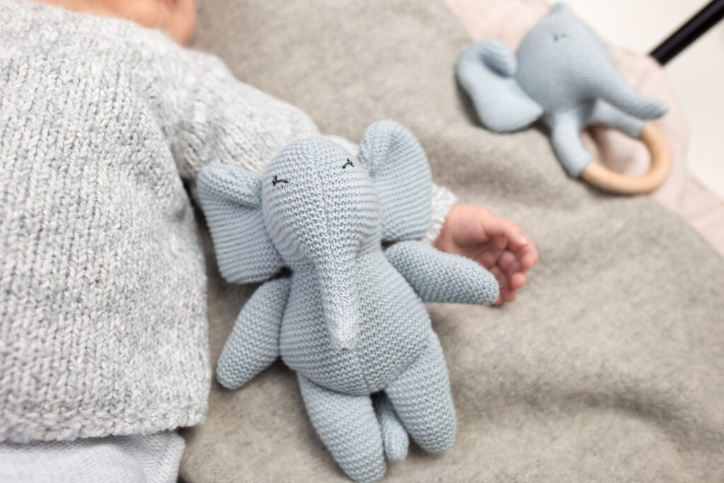 Elvy the elephant cuddle wide hqh2