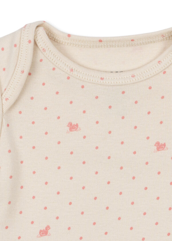 Pack fa100082 p30098