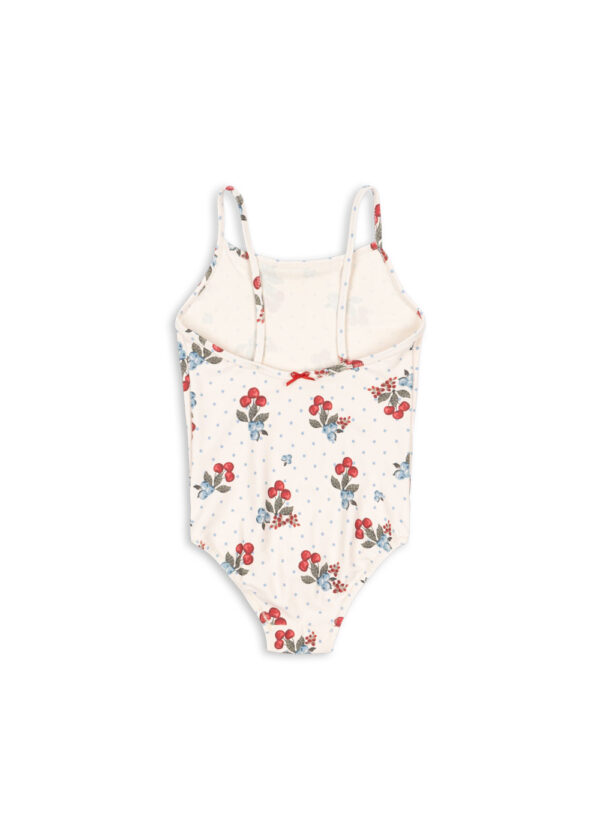 Pack ks104821 p00108