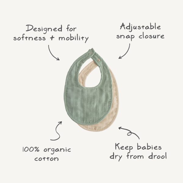 Muslin Bib Infographic p