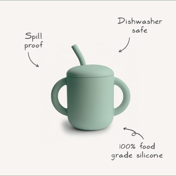 Training Cup Infographic p