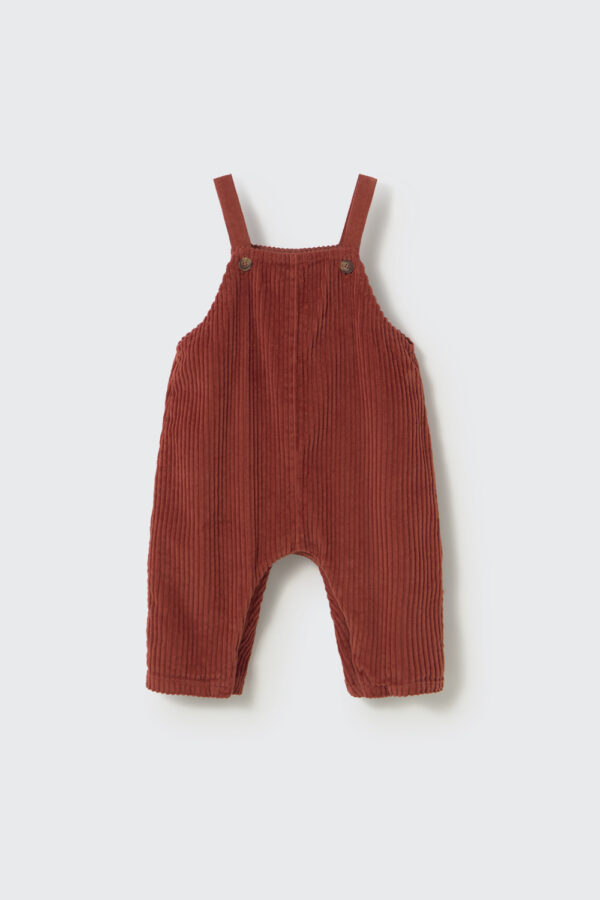 DAX247w6 ginger wide wale corduroy