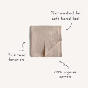 Swaddle Blanket infographic p