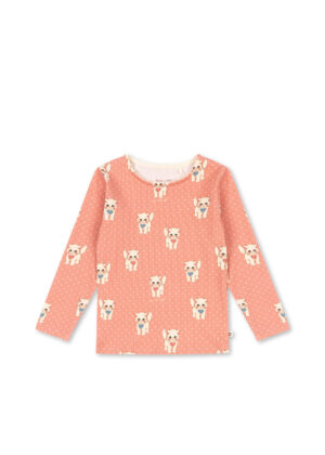Pack ks105983 p10194