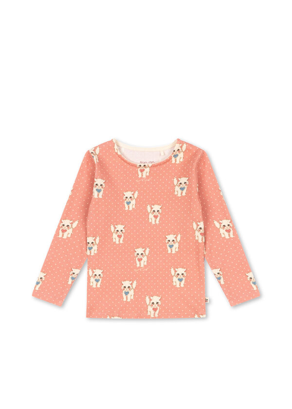 Pack ks105983 p10194