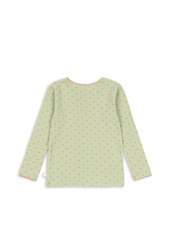 Pack ks106164 p15102