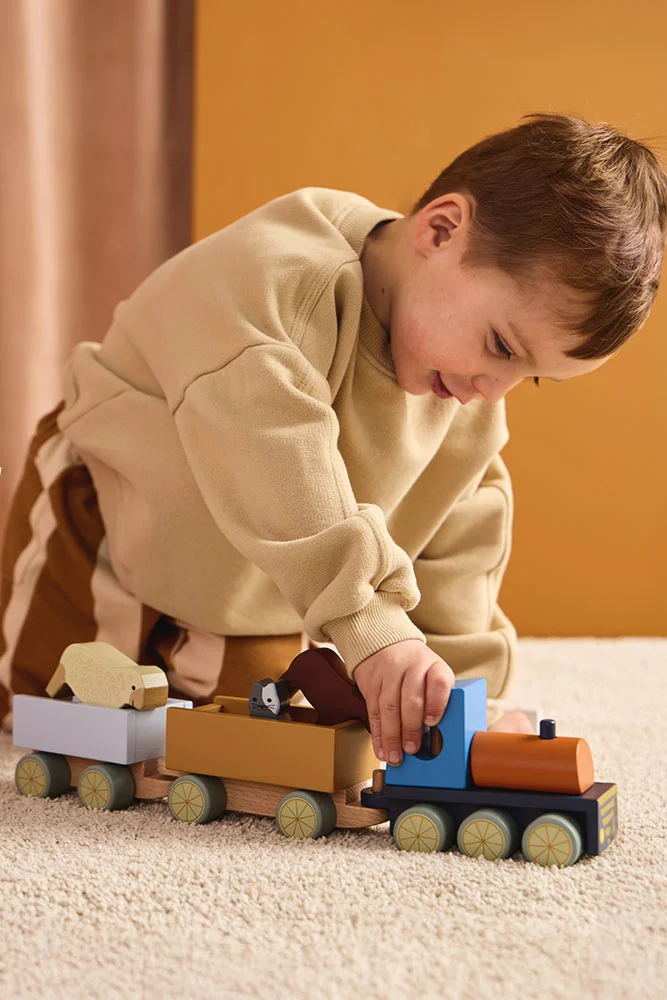 1001003 Farm animal train AIDEN EWM 2 AW25.jpg