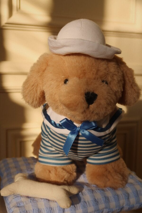 Milou puppy - Image 4