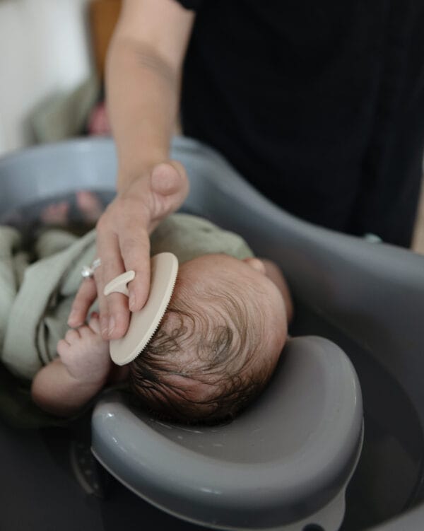 Cradle Cap Brush-2 pack Blush Shifting Sand - Image 3